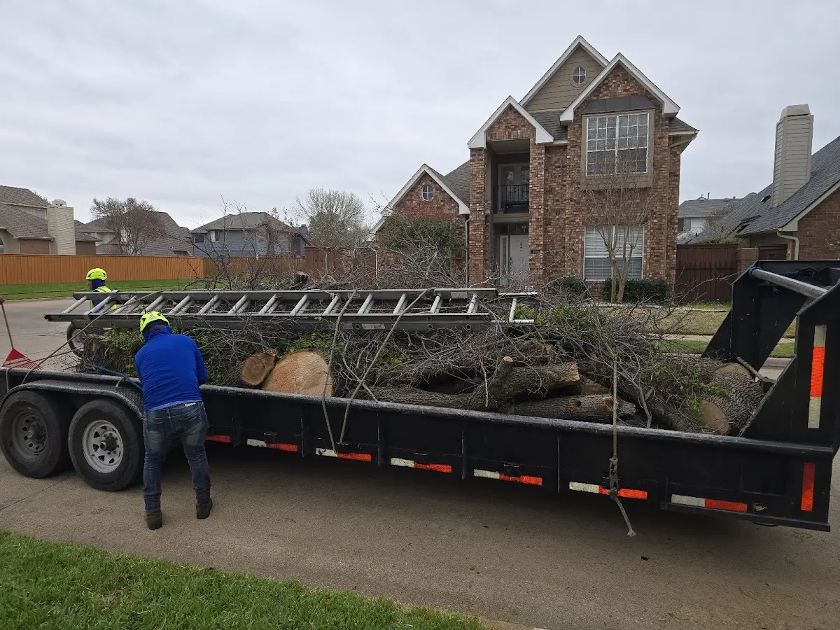 Expert Lot Clearing with proper safety equipment in Chase